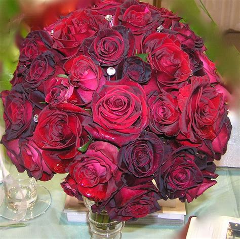 How to Care for Black Magic Roses in a Posy